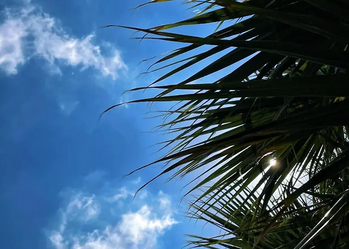 Rix Palm * Kyrenia (Northern Cyprus)