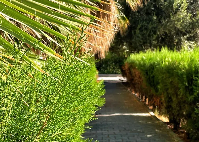 Appartamento Rix Palm