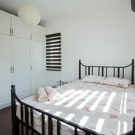 Rix Palm 凯里尼亚