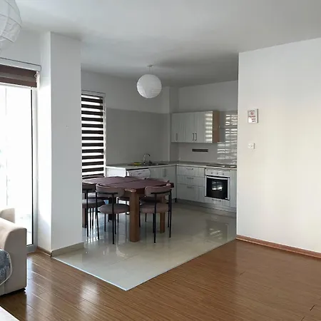 公寓 Rix Palm 凯里尼亚