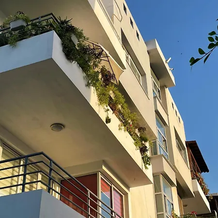 Apartment Rix Palm