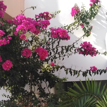 Rix Palm Kyrenia (Northern Cyprus)