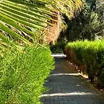 Apartament Rix Palm
