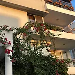 Rix Palm Kirenia