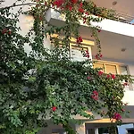 Rix Palm