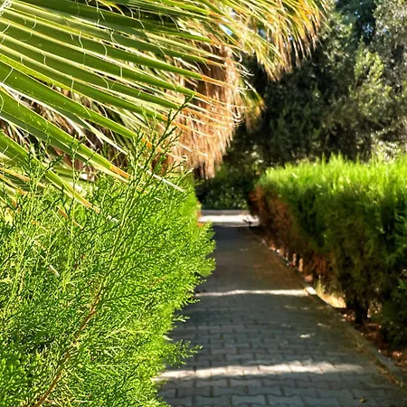 Διαμέρισμα Rix Palm