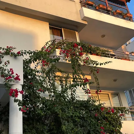 Rix Palm Κερύνεια